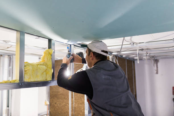 Range of Insulation Solutions in Rodney Village, DE