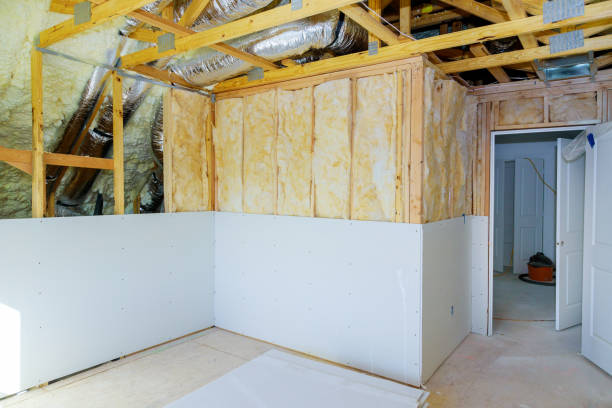 Insulation Contractors for Homes in Rodney Village, DE