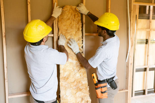 Professional Insulation Contractor in Rodney Village, DE