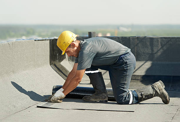 Best Wall Insulation Contractor  in Rodney Village, DE